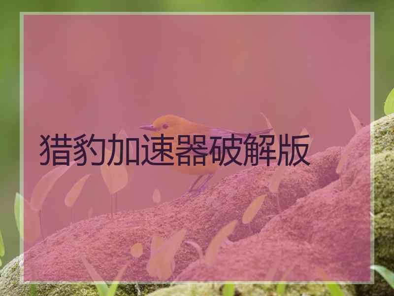 猎豹加速器破解版