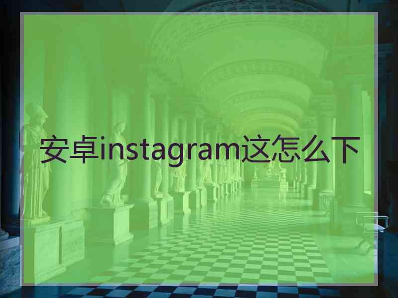 安卓instagram这怎么下