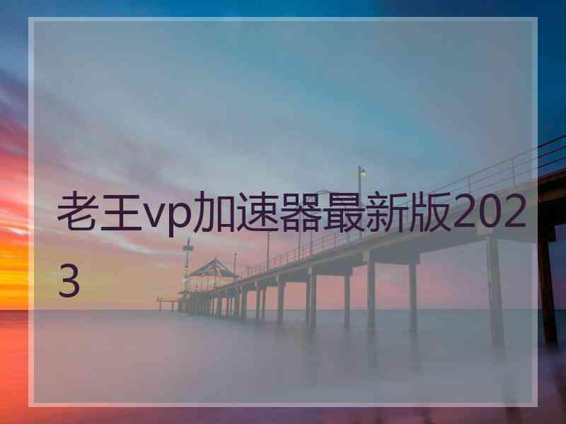 老王vp加速器最新版2023