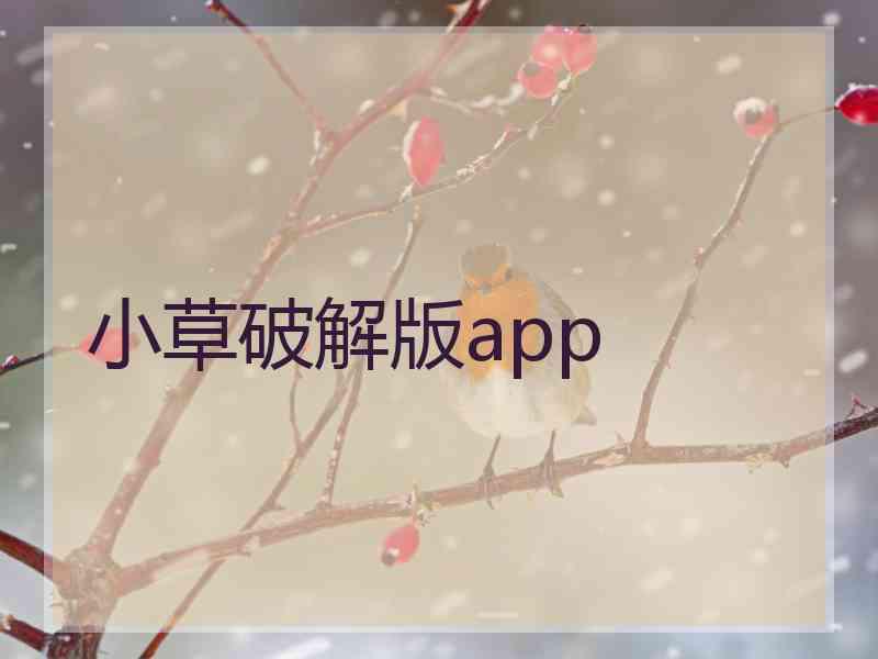 小草破解版app