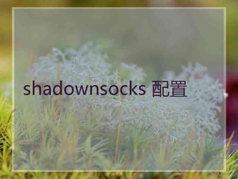 shadownsocks 配置