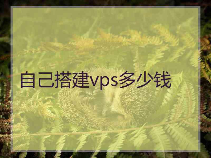 自己搭建vps多少钱