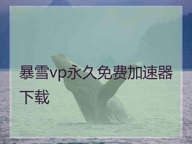 暴雪vp永久免费加速器下载