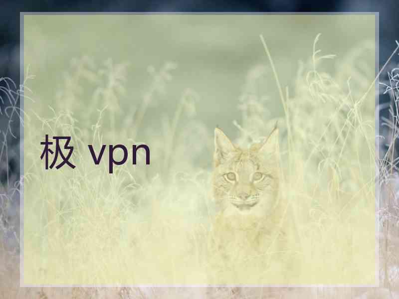 极 vpn