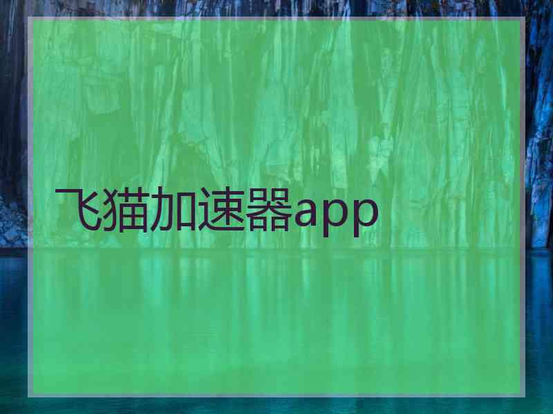 飞猫加速器app