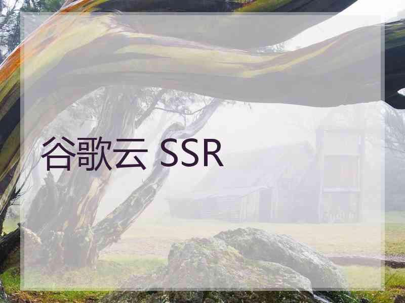 谷歌云 SSR