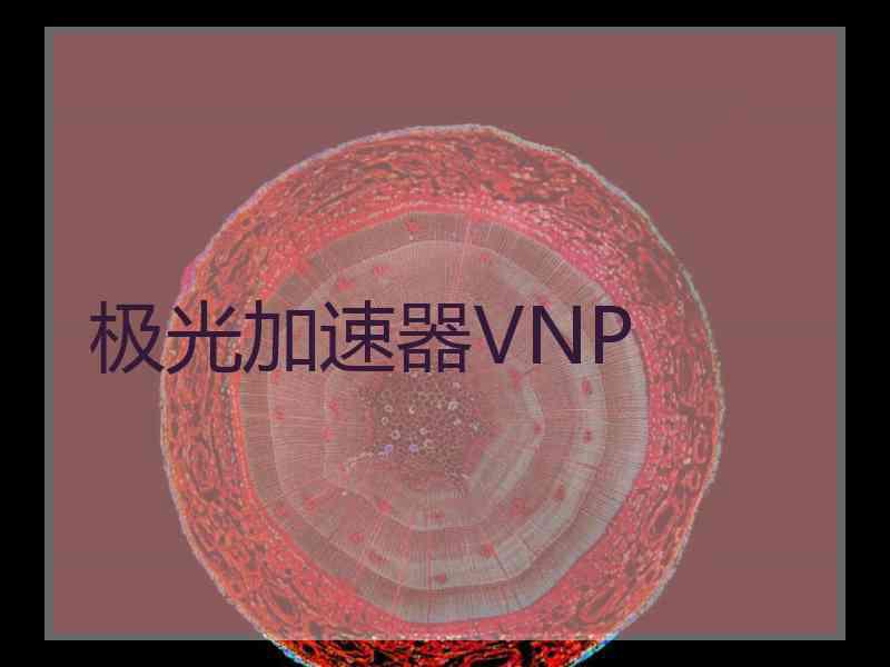 极光加速器VNP