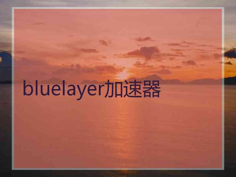 bluelayer加速器