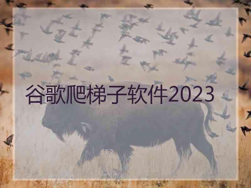 谷歌爬梯子软件2023