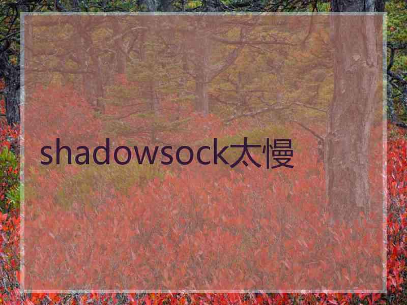 shadowsock太慢