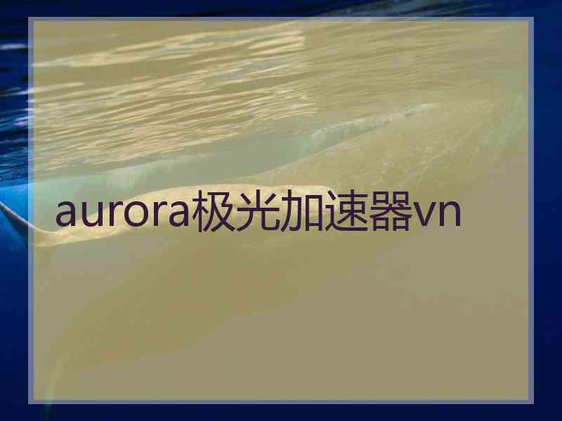 aurora极光加速器vn