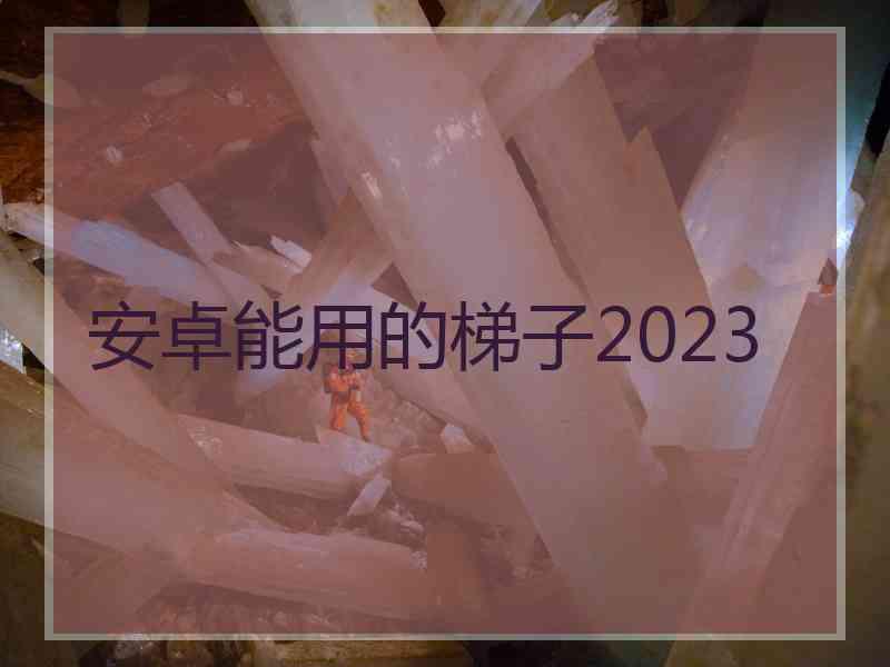 安卓能用的梯子2023