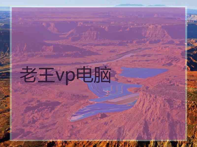 老王vp电脑