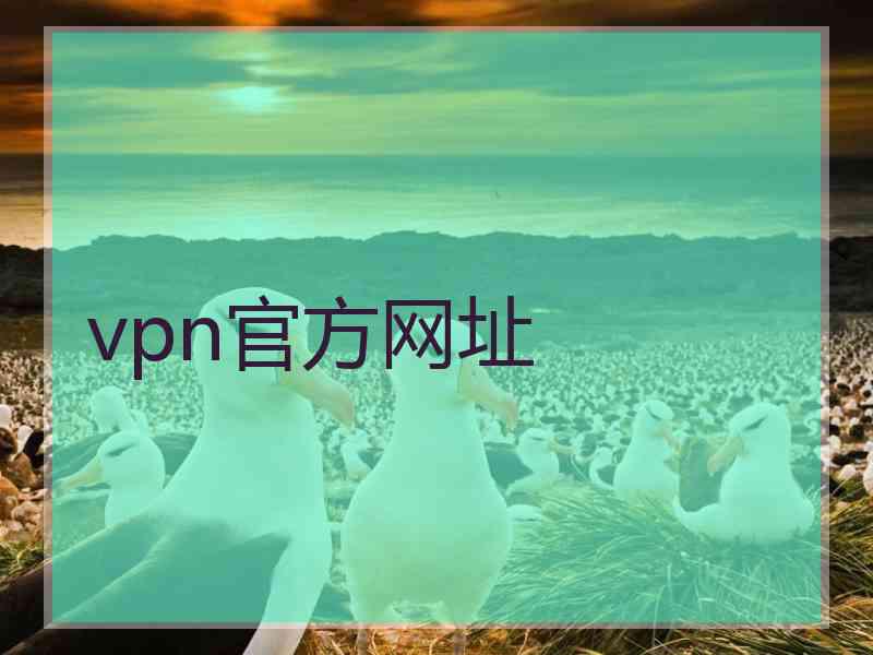 vpn官方网址