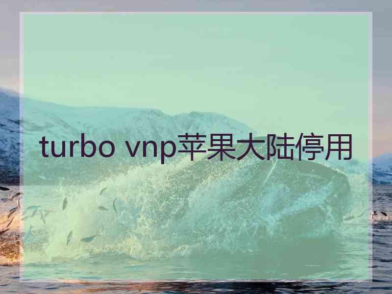 turbo vnp苹果大陆停用