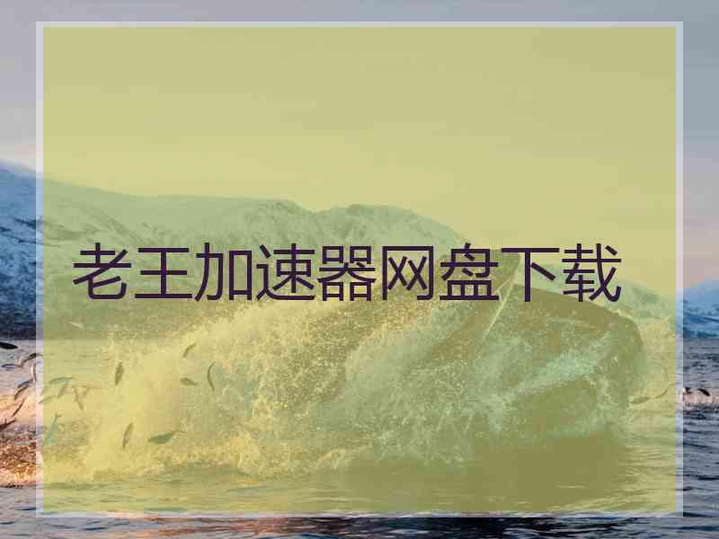 老王加速器网盘下载