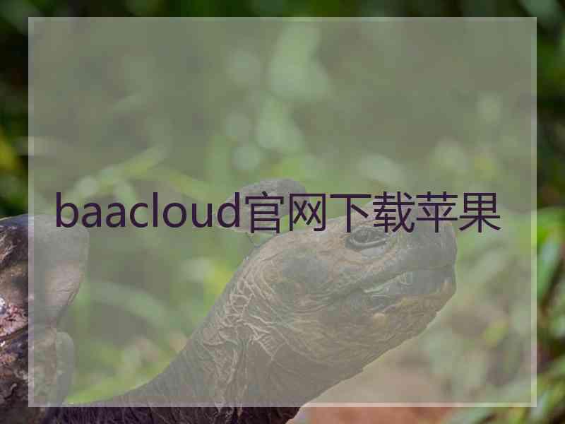 baacloud官网下载苹果