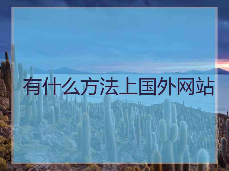 有什么方法上国外网站