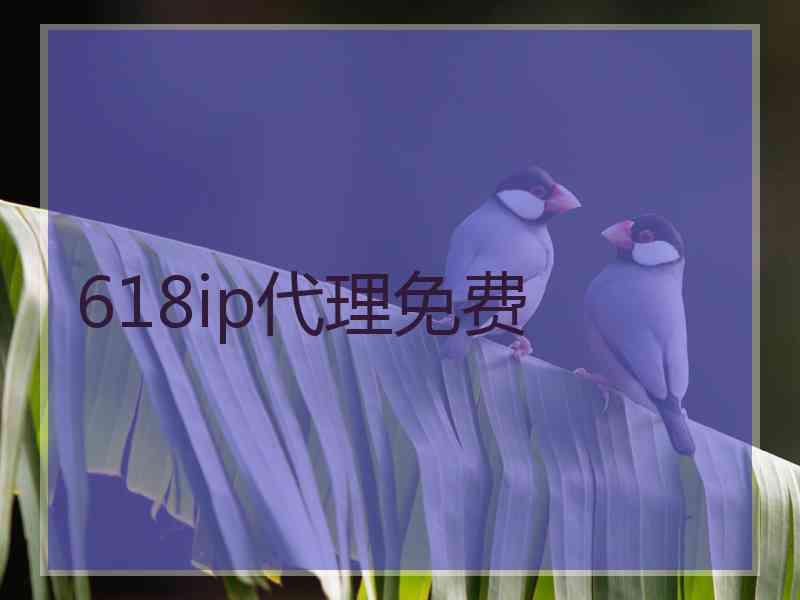 618ip代理免费