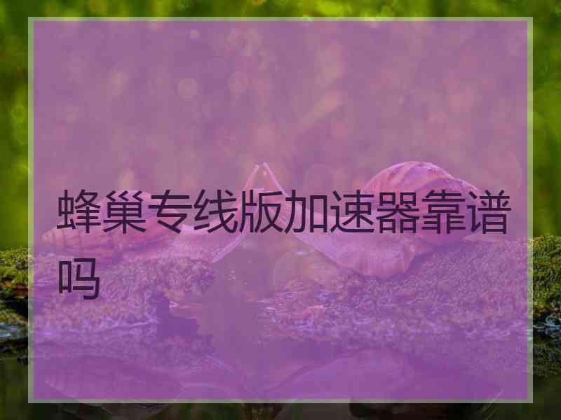 蜂巢专线版加速器靠谱吗