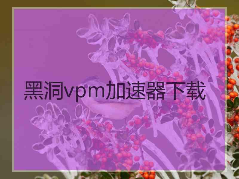 黑洞vpm加速器下载