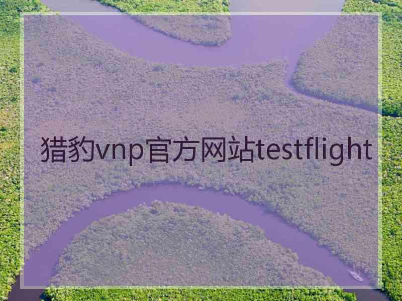 猎豹vnp官方网站testflight