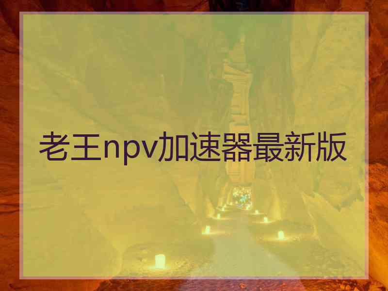 老王npv加速器最新版