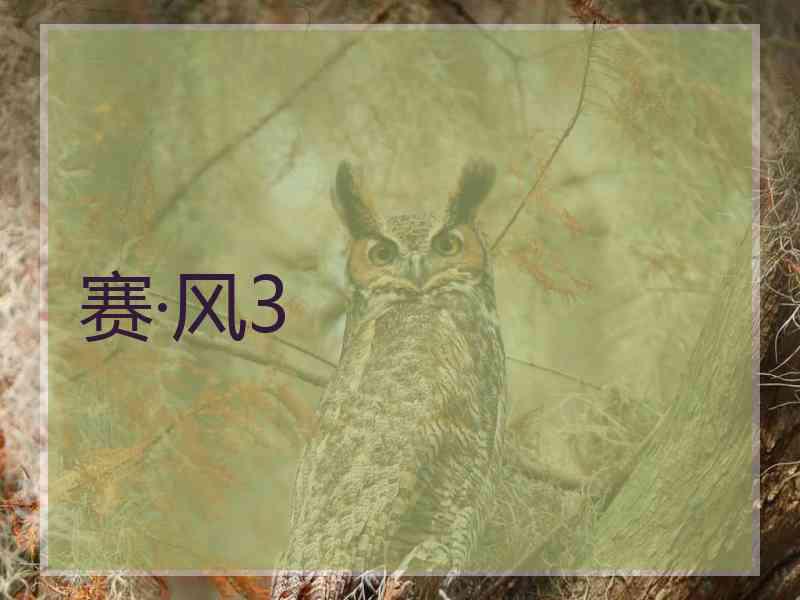 赛·风3