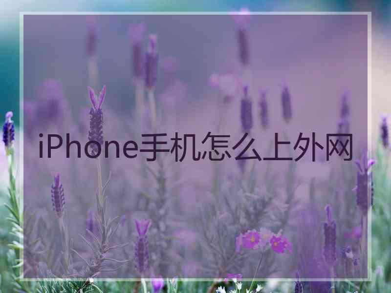 iPhone手机怎么上外网