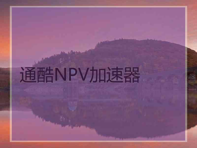 通酷NPV加速器