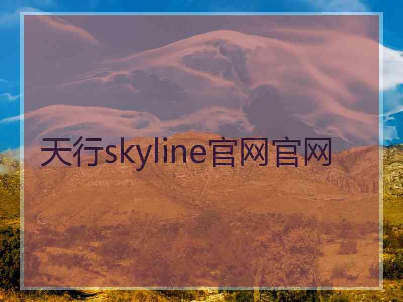 天行skyline官网官网