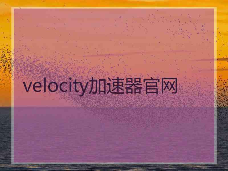 velocity加速器官网