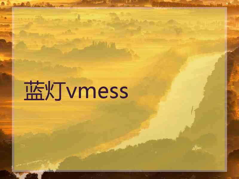 蓝灯vmess