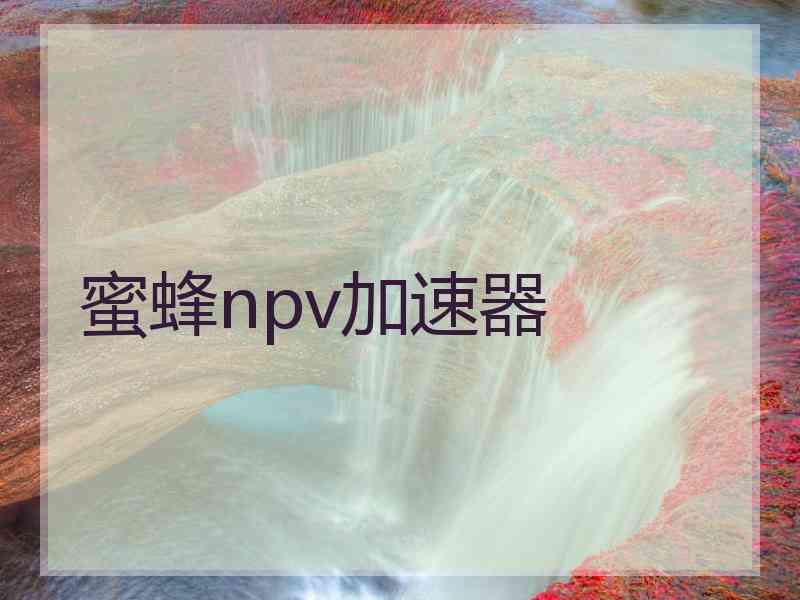 蜜蜂npv加速器