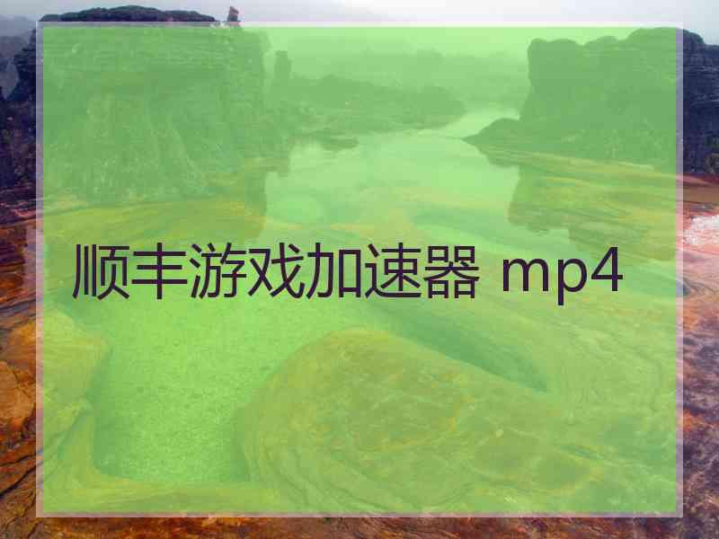 顺丰游戏加速器 mp4