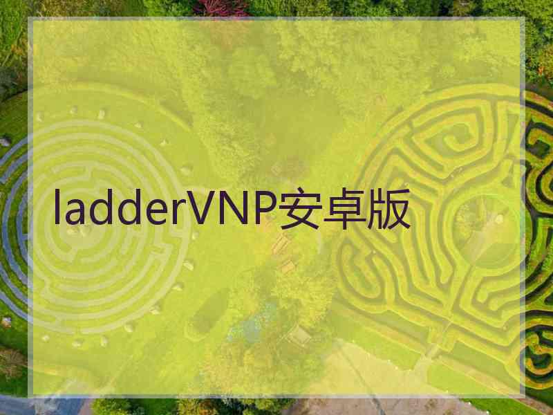 ladderVNP安卓版