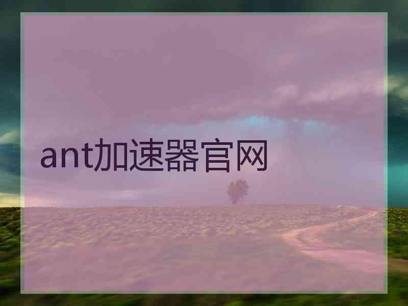 ant加速器官网