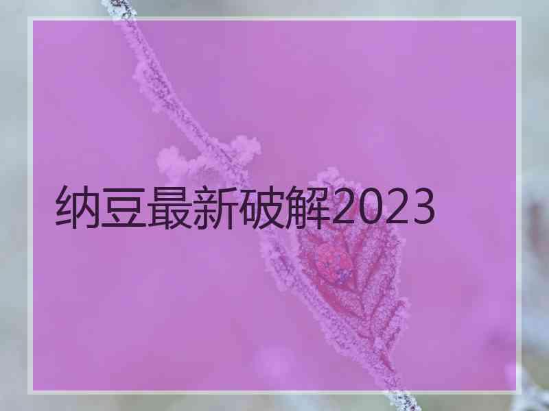 纳豆最新破解2023