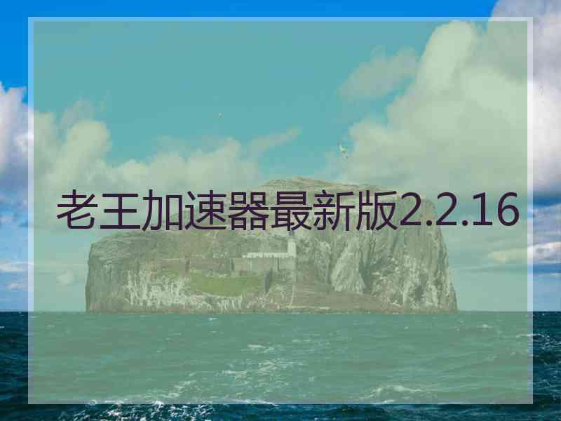 老王加速器最新版2.2.16