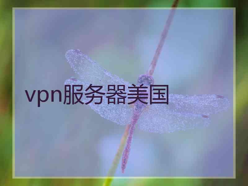 vpn服务器美国