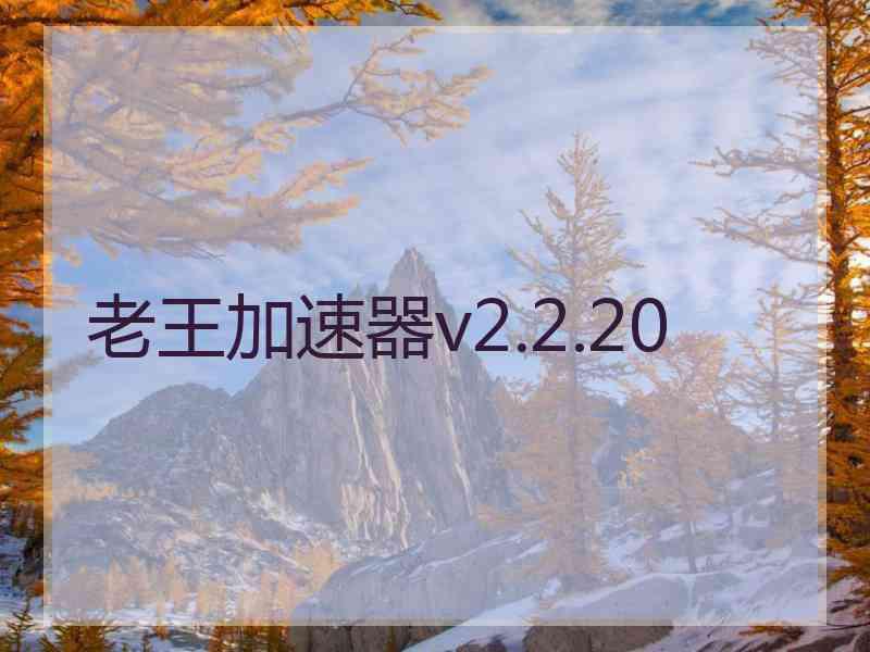 老王加速器v2.2.20