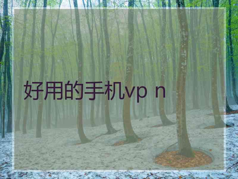 好用的手机vp n