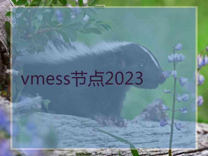 vmess节点2023