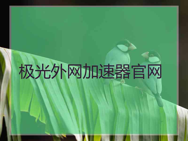 极光外网加速器官网