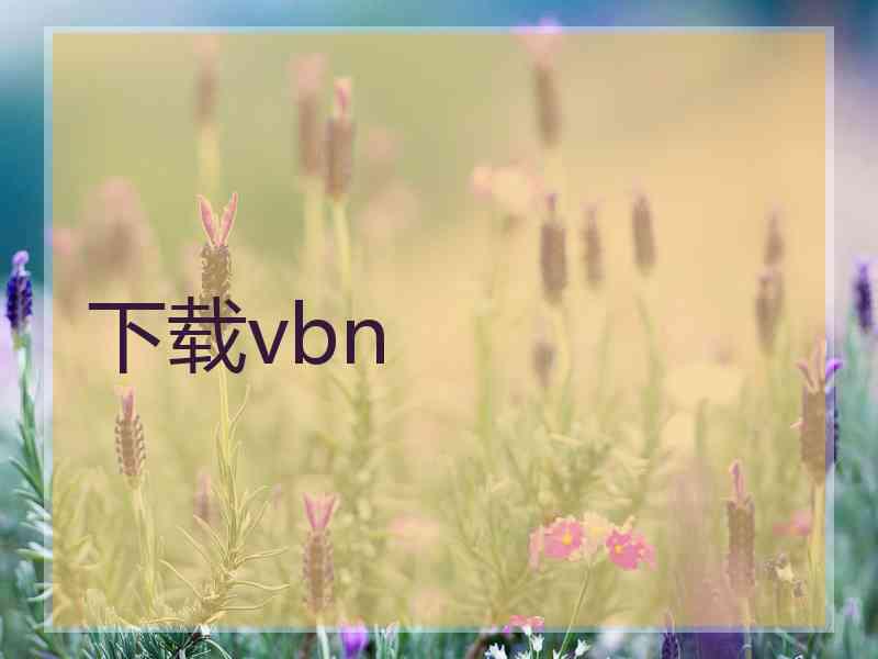 下载vbn