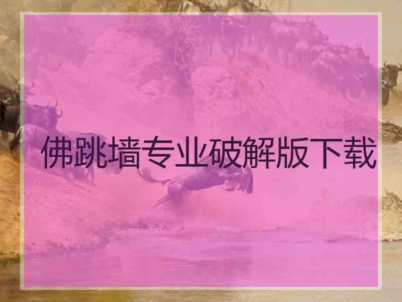 佛跳墙专业破解版下载
