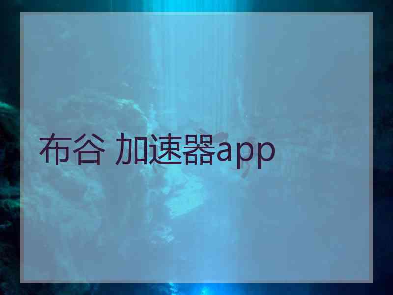 布谷 加速器app