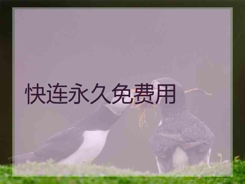 快连永久免费用