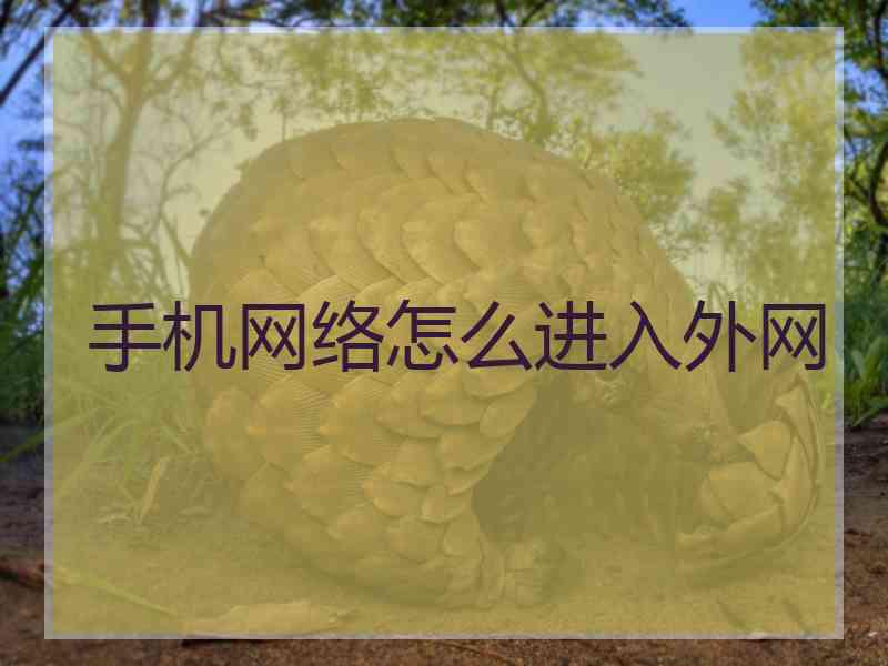 手机网络怎么进入外网