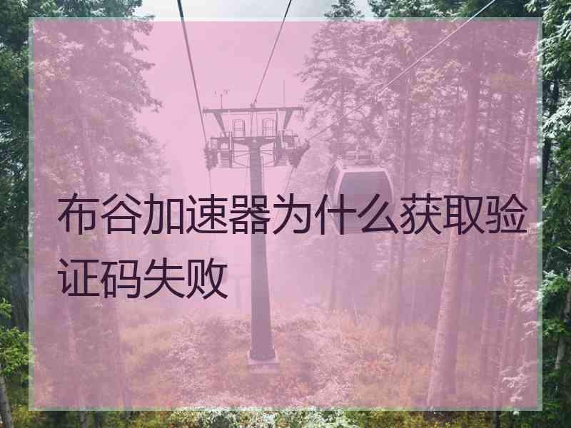 布谷加速器为什么获取验证码失败